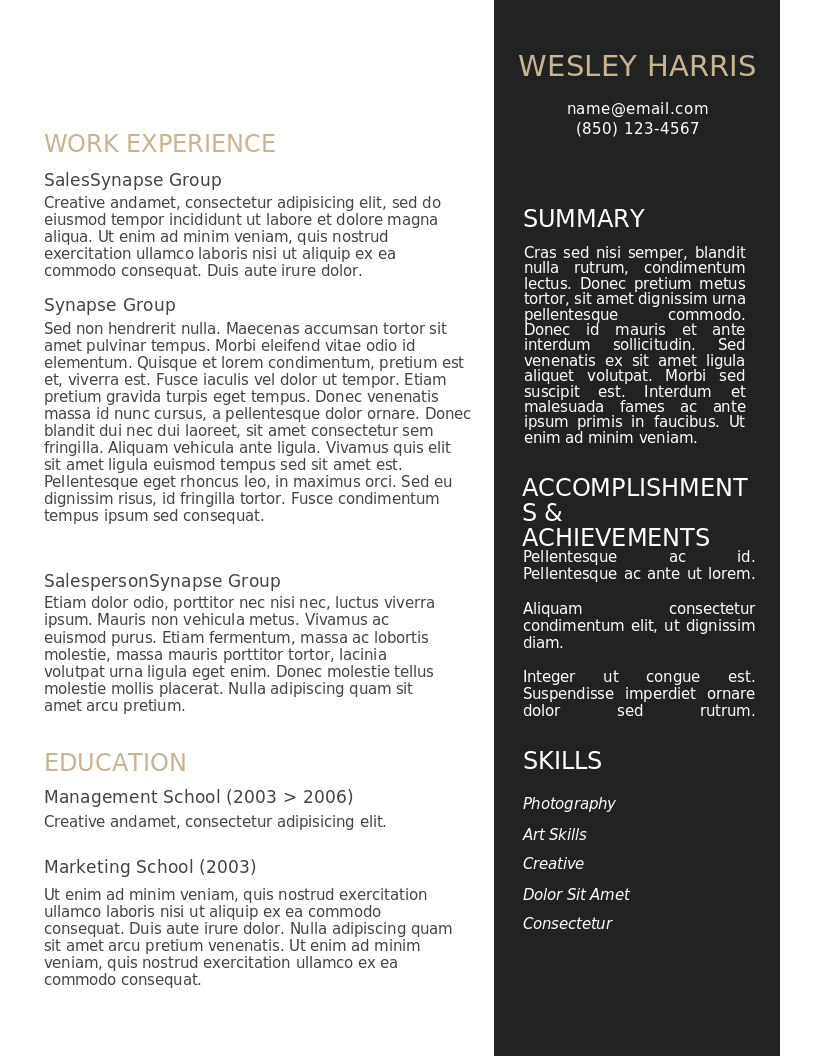 The Accomplish Academic CV – Vorschau